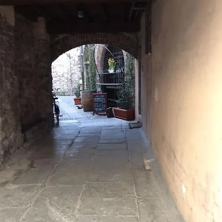 Gallo Brescia